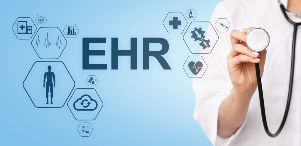 Healthcare IT professionals managing EHR implementation systems